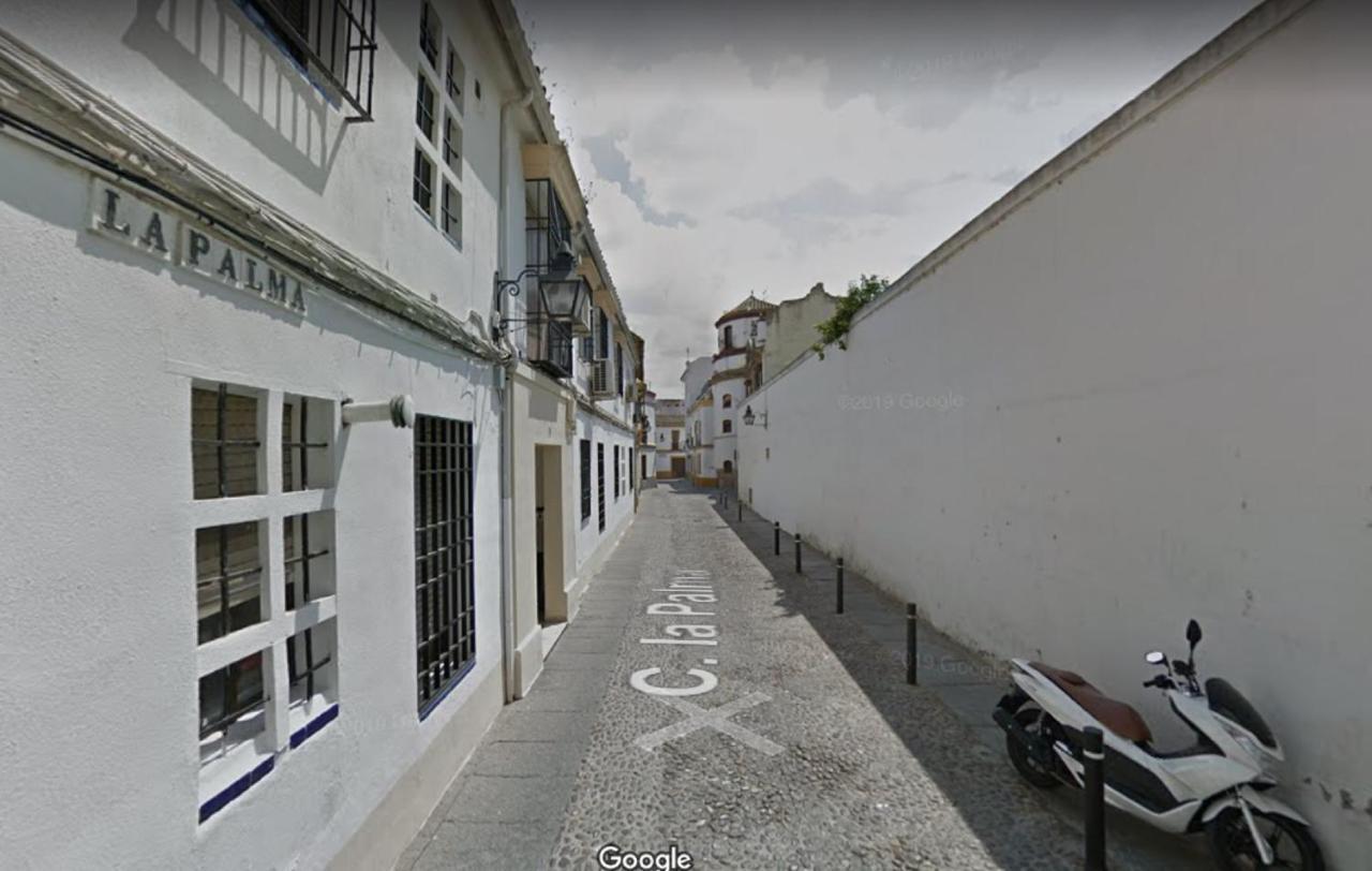 Apartamento Apartamento La Palma *