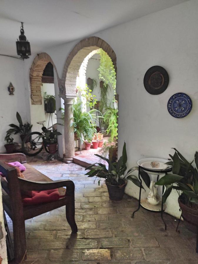 Apartamento Dama De Noche Córdoba