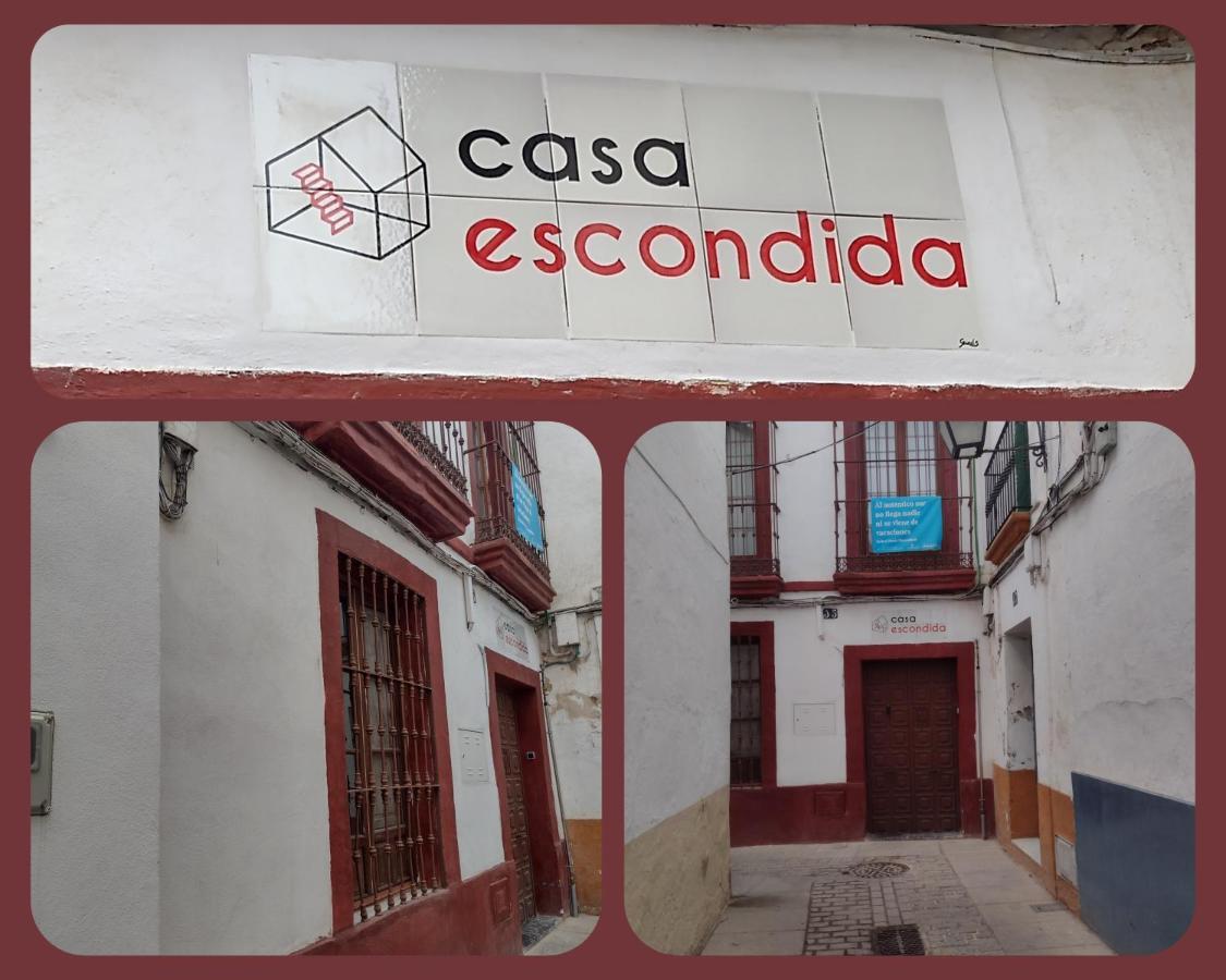 Casa Escondida - Residencia De Artistas Homestay