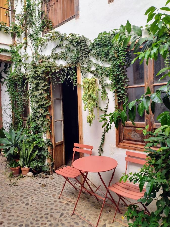 Casa Escondida - Residencia De Artistas Homestay *