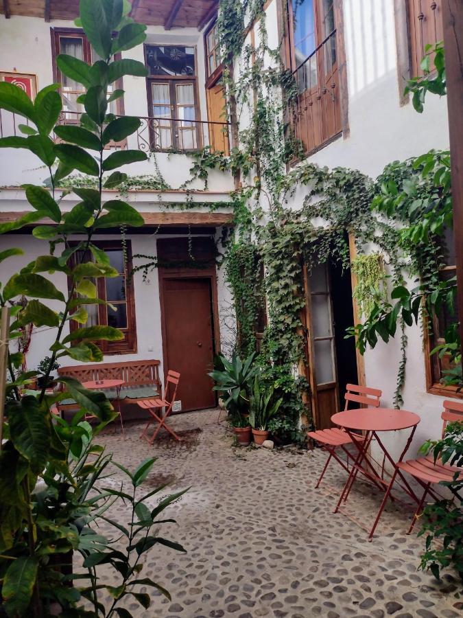 Homestay Casa Escondida - Residencia De Artistas