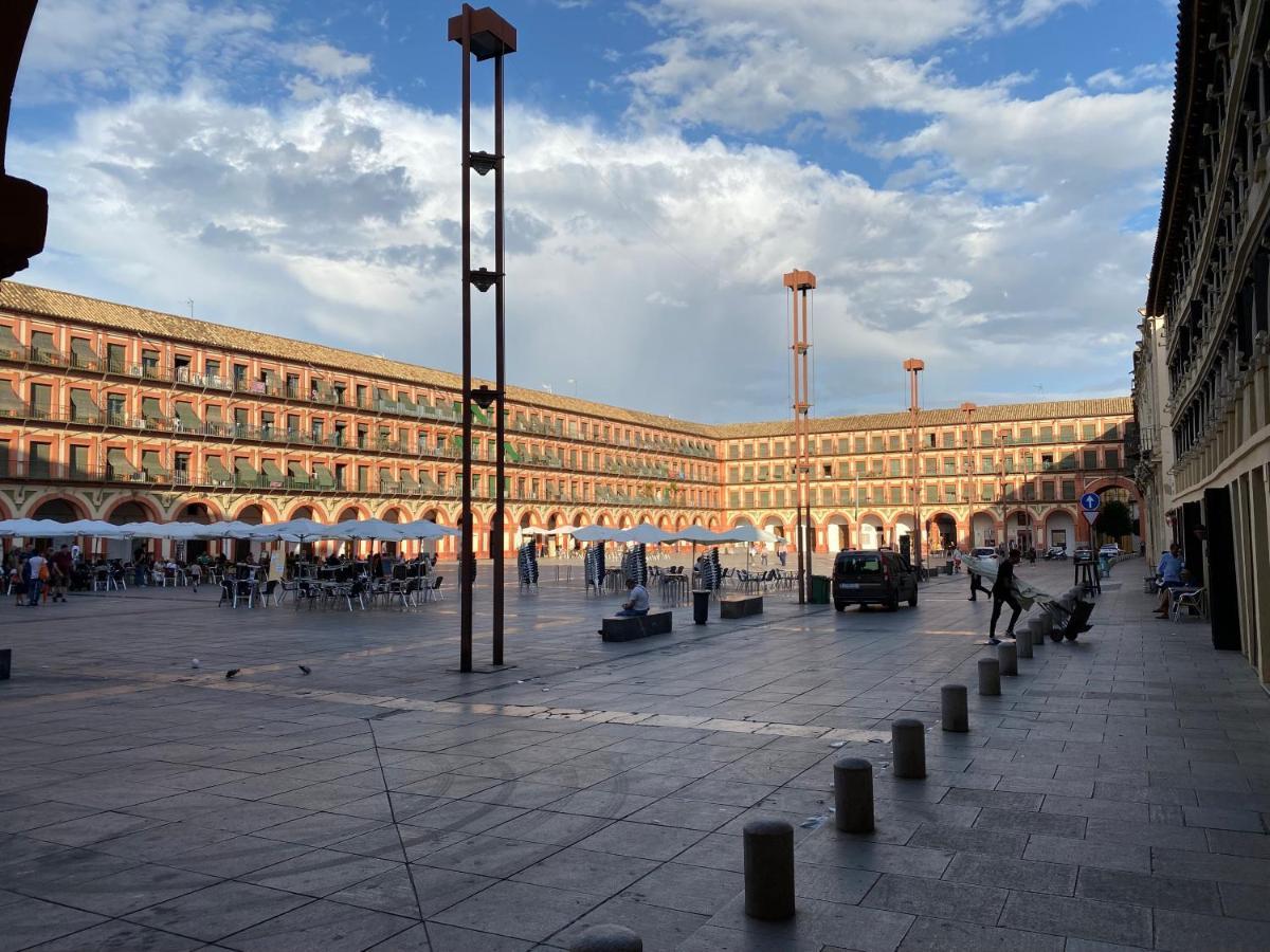 La Cámara I Corredera * Córdoba