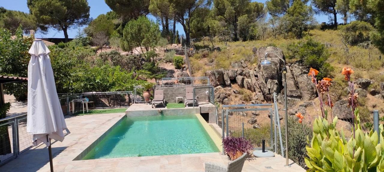 Chalet De Madera Junto Al Jaras
