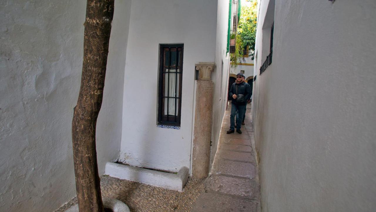 ático Con Terraza Paseo De La Ribera *