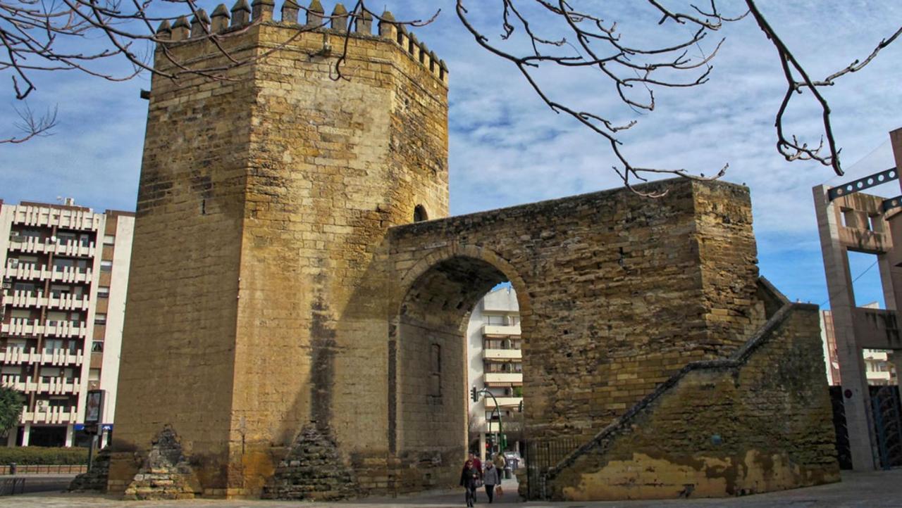 Apartamento ático Con Terraza Paseo De La Ribera