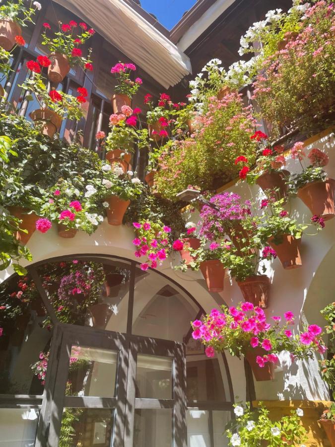 Apartamento La Estrella *