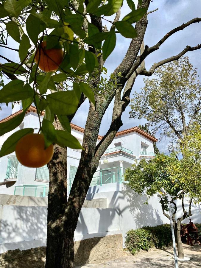 Nuevo Almendros 301 Complejo Turístico