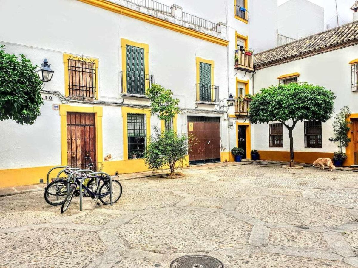 Apartamento Despertar En San Basilio Córdoba
