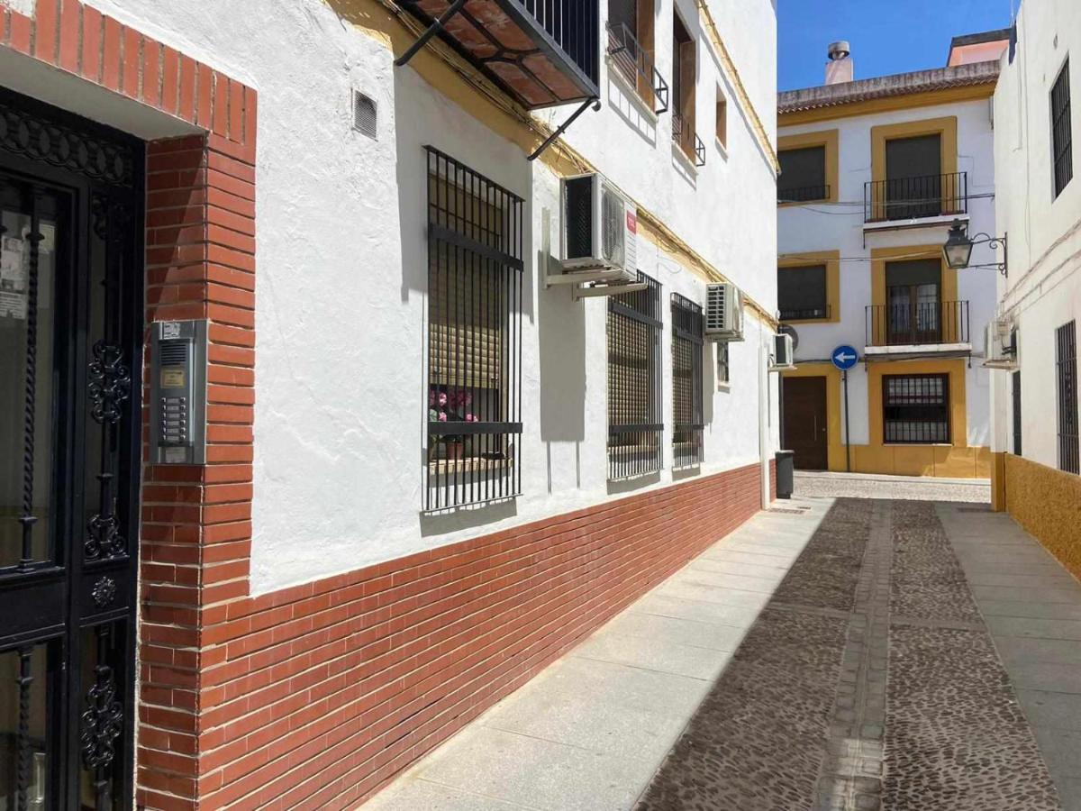 Despertar En San Basilio Apartamento