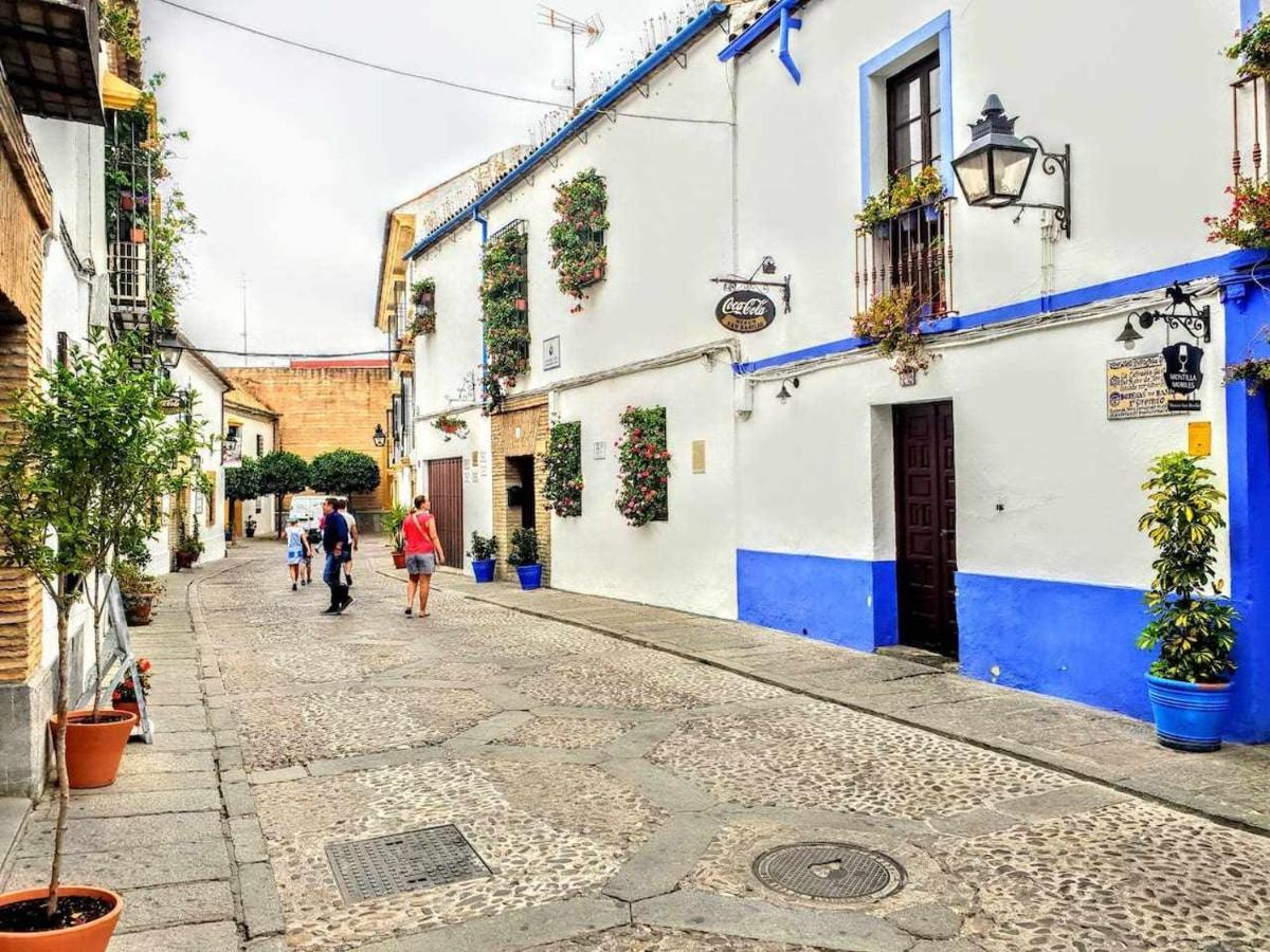Despertar En San Basilio Apartamento *