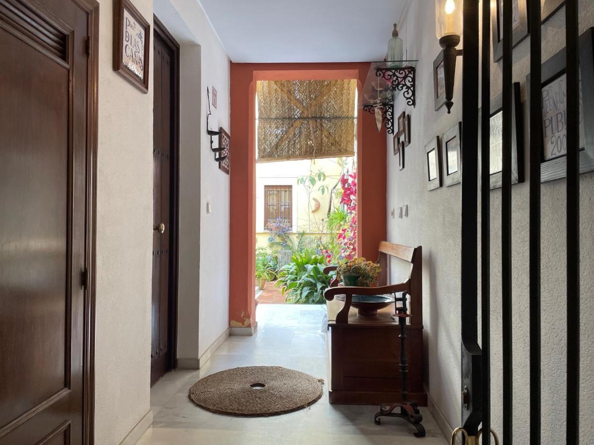 Casa Terraza Juderia Apartment *