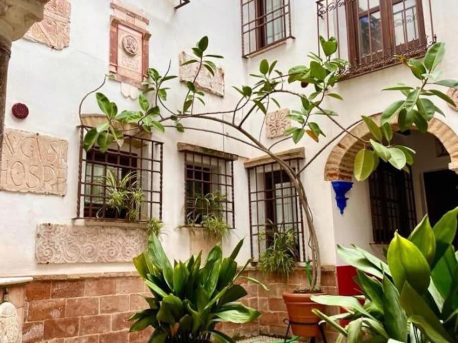 Buhardilla De Wallada Apartment