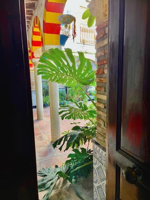 Patio De La Corredera *