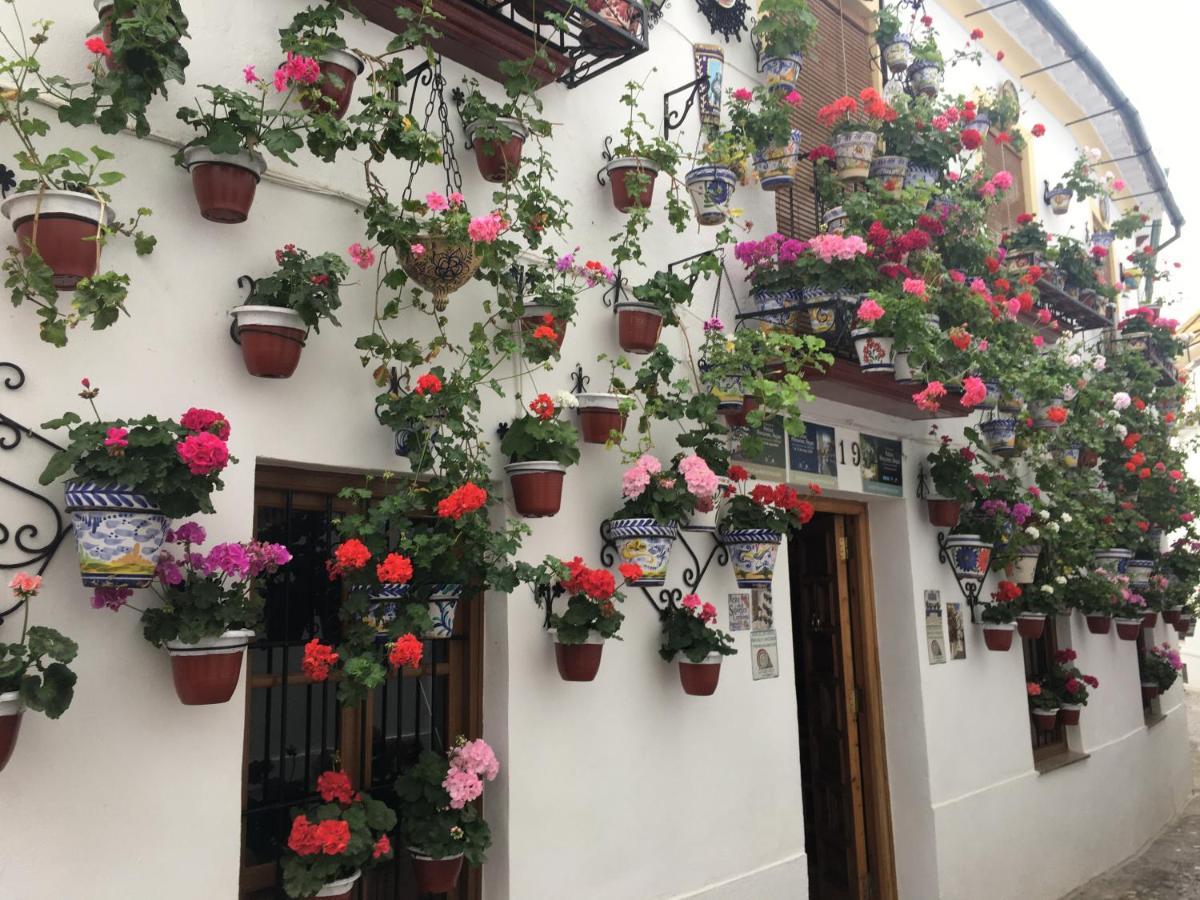 Buhardilla De Wallada Cordoba