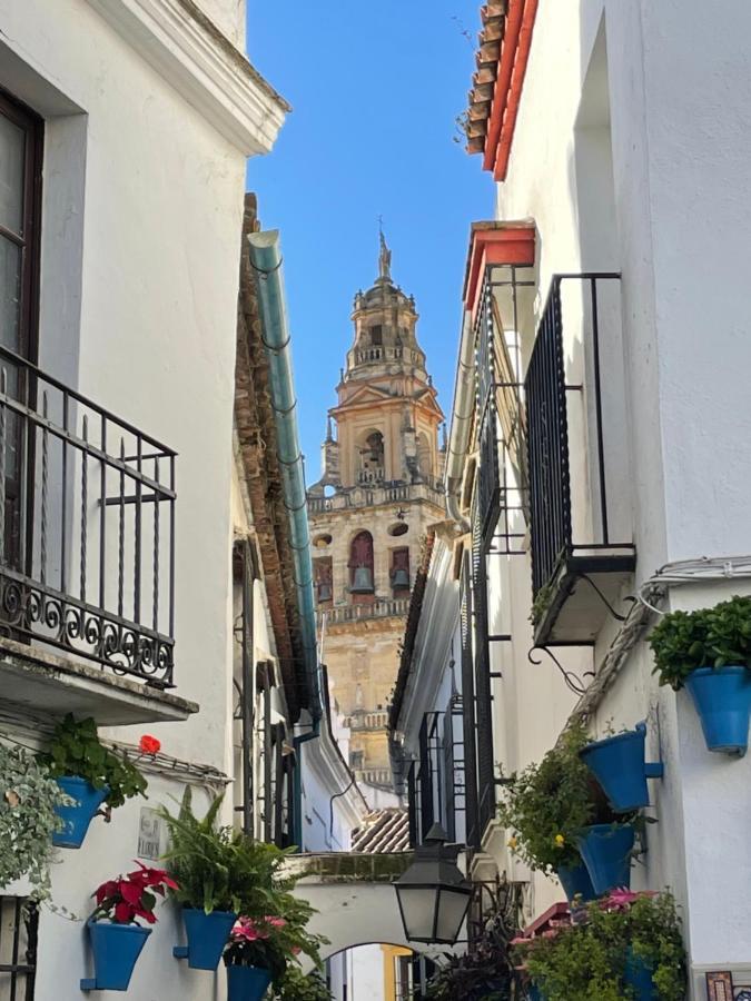 Buhardilla De Wallada * Cordoba
