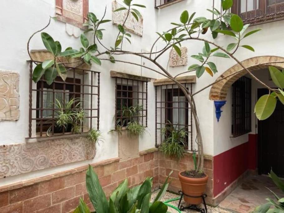 Apartment Buhardilla De Wallada *