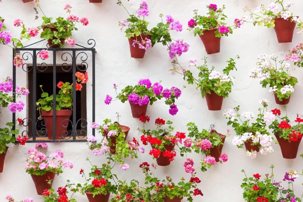 Apartamento El Arcangel De Córdoba