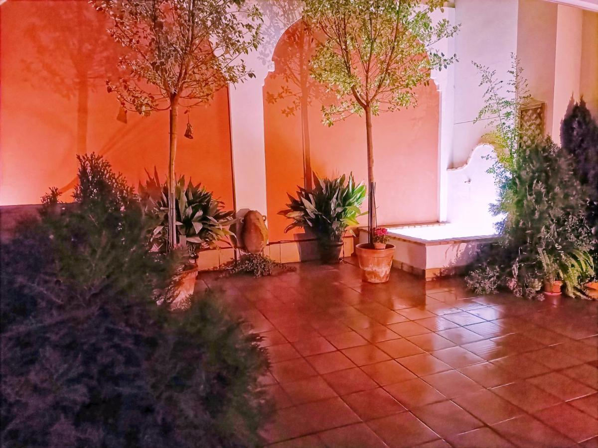 Ziza Córdoba