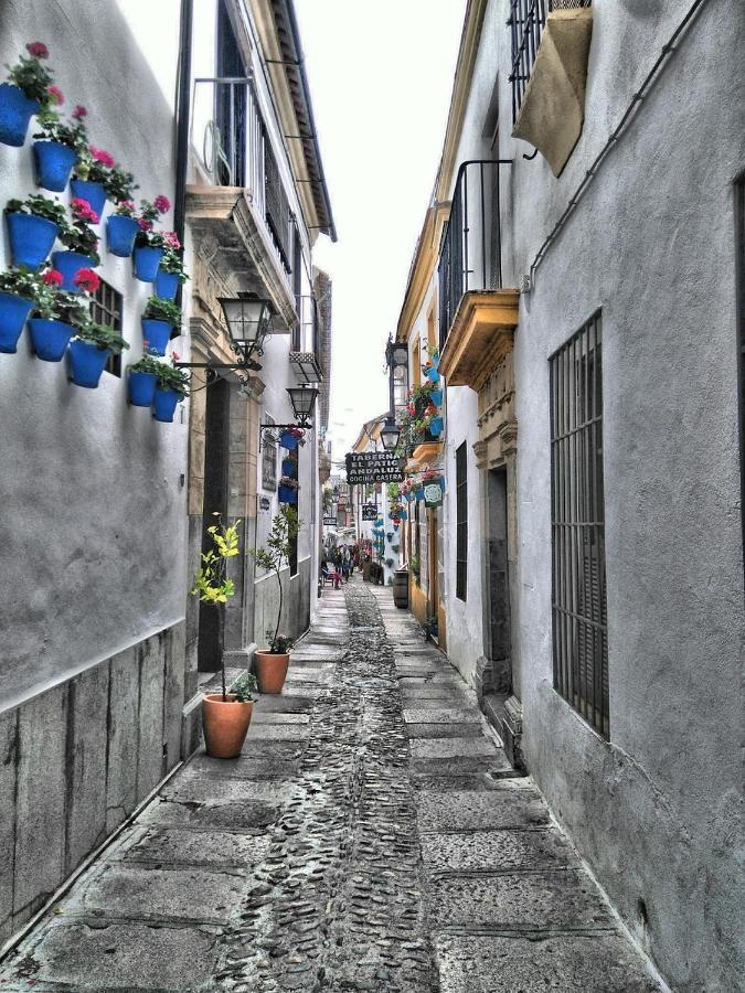 El Patio De Lindo Cordoba