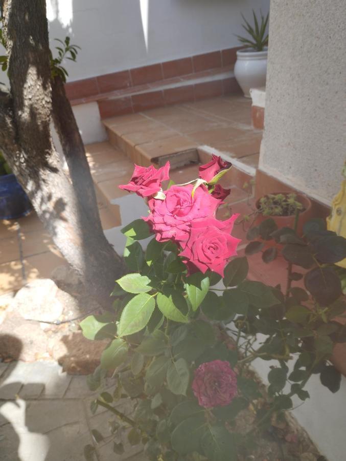 Holiday home El Madrono De La Encantada *