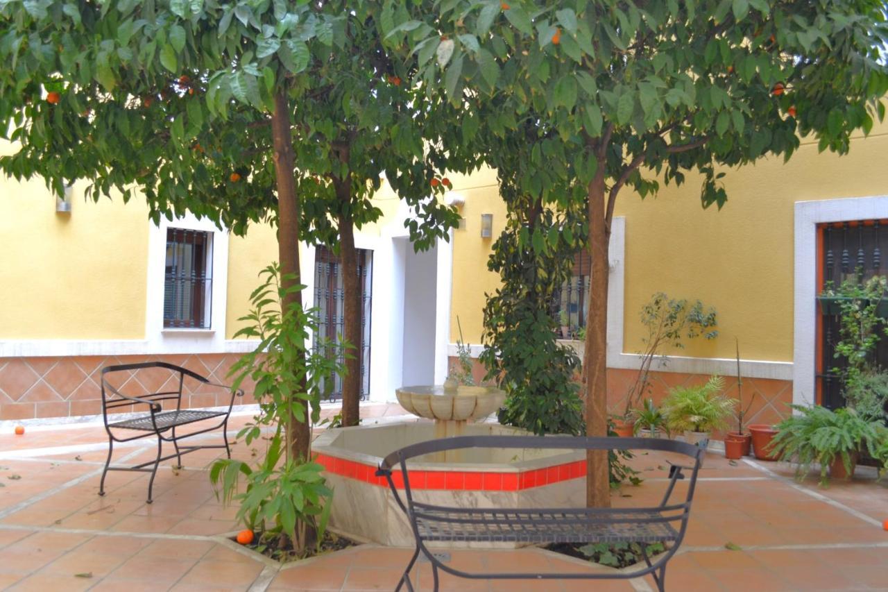 Sunshine Patio Del Consistorio *