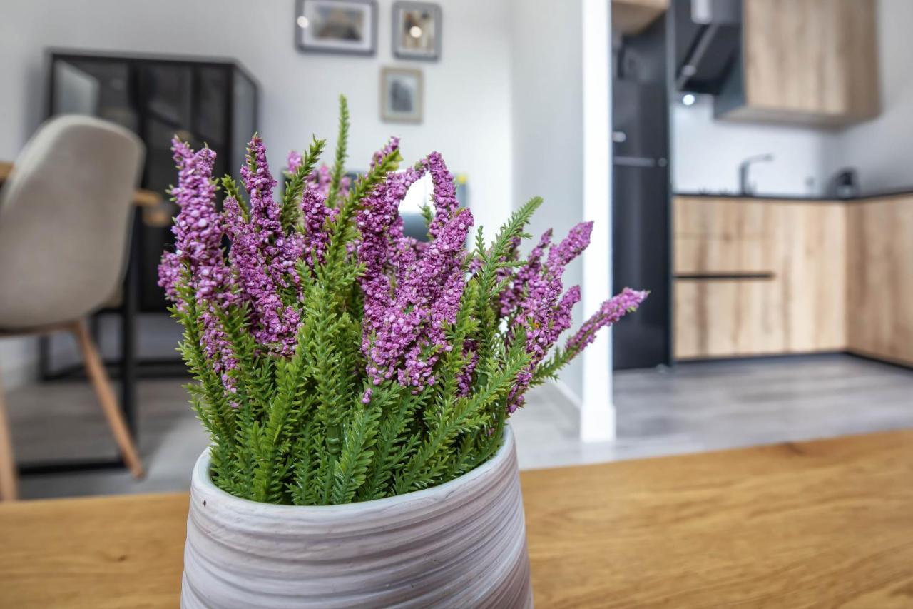 Garesc Lofts Apartamento *