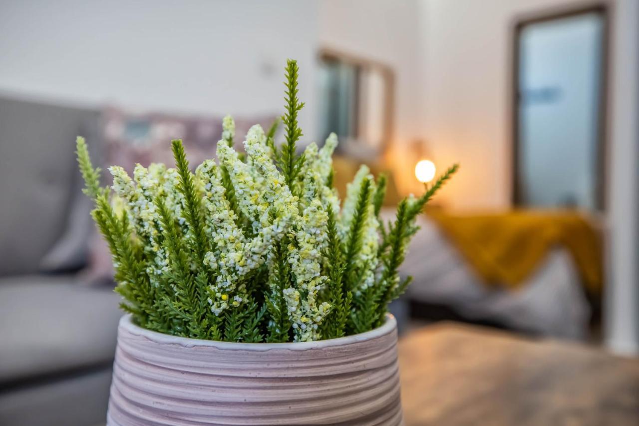 Apartamento Garesc Lofts *