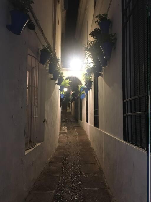 Apartamento El Templo Córdoba