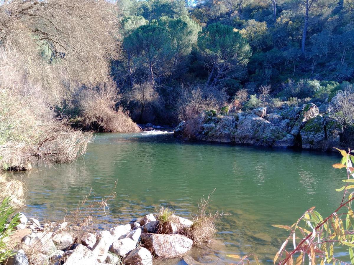 Solanas Del Pilar Córdoba