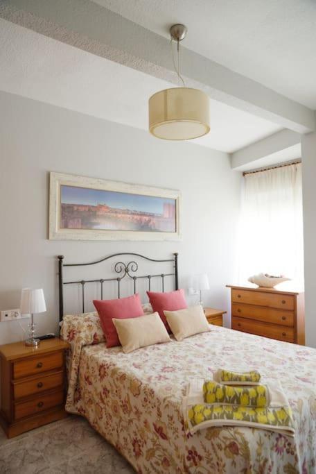 Apartment Piso Centrico Plaza San Miguel *