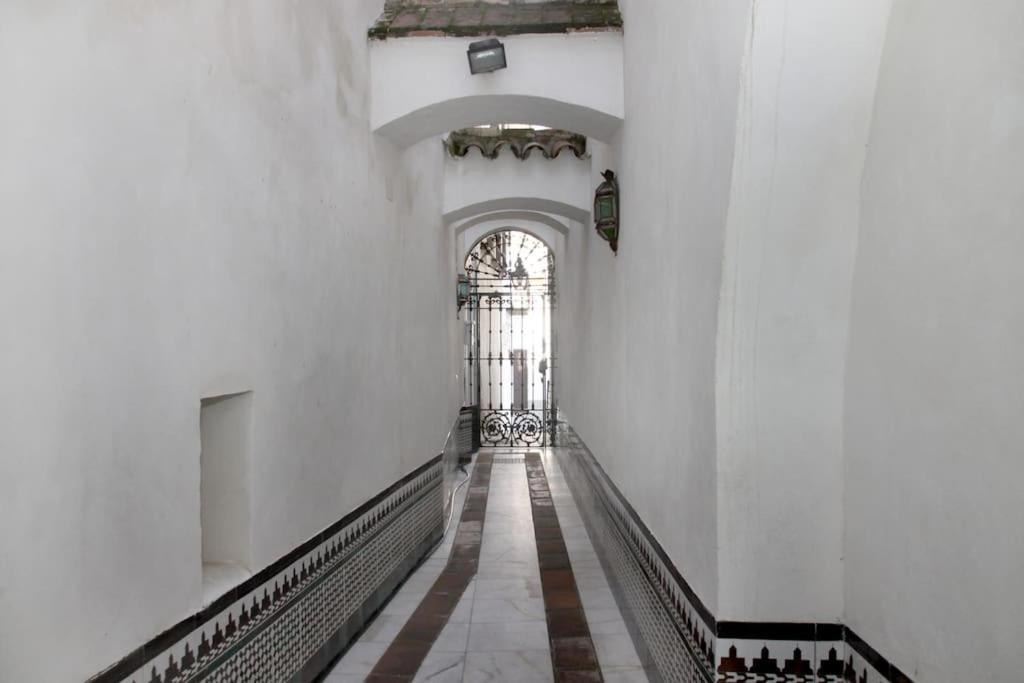 Mirador De La Mezquita * Córdoba