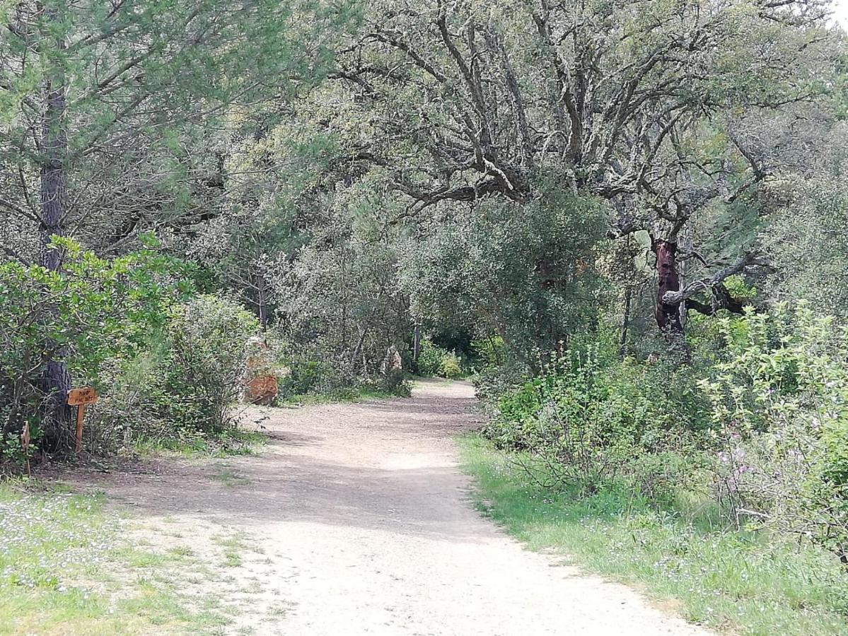 Сasa de vacaciones Del Bosque Cerca De *