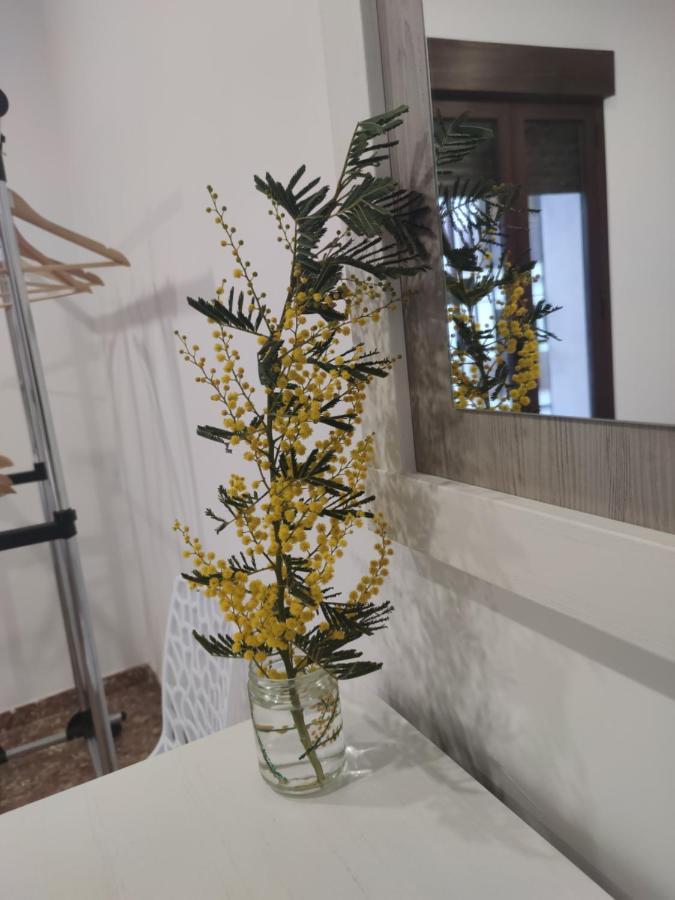 La Casa De La Mimosa Apartamento