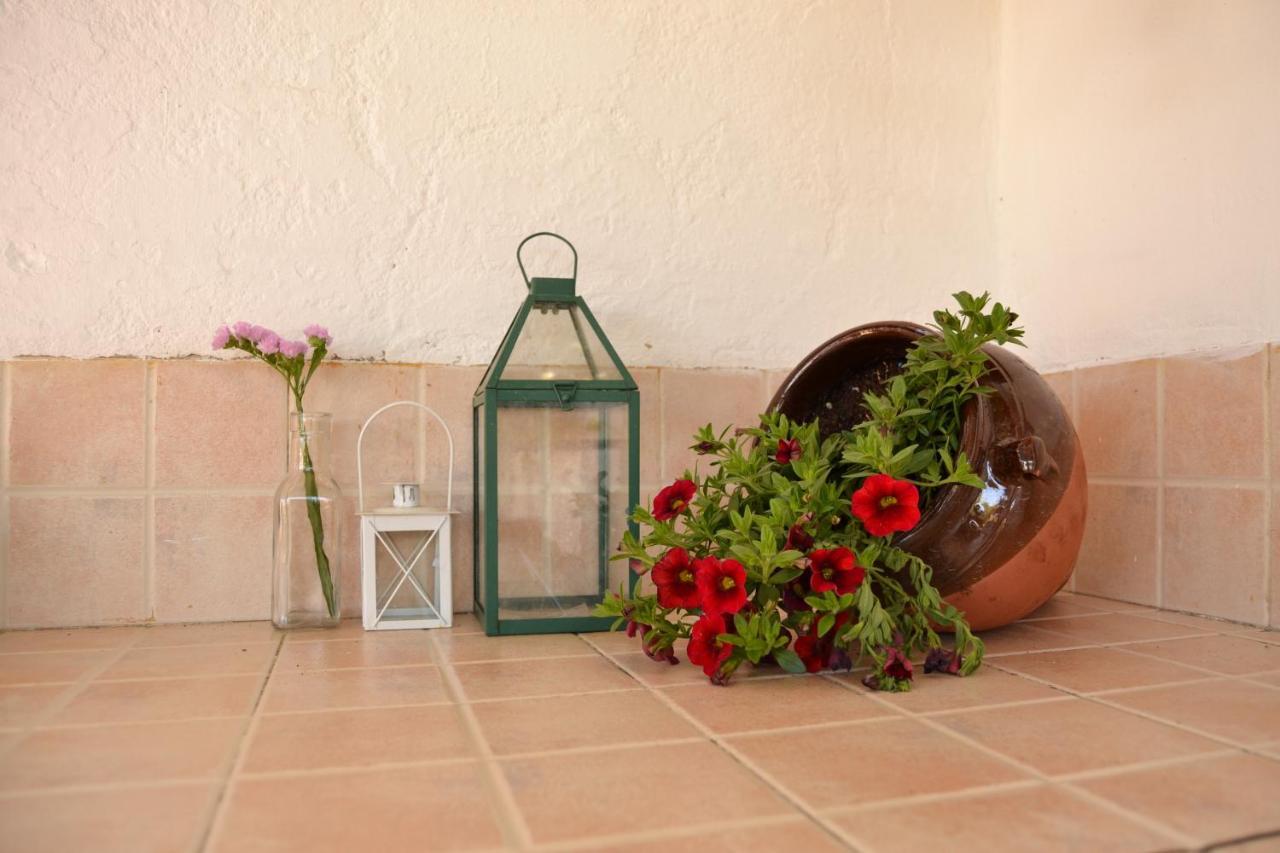 La Orquidea De Cordoba