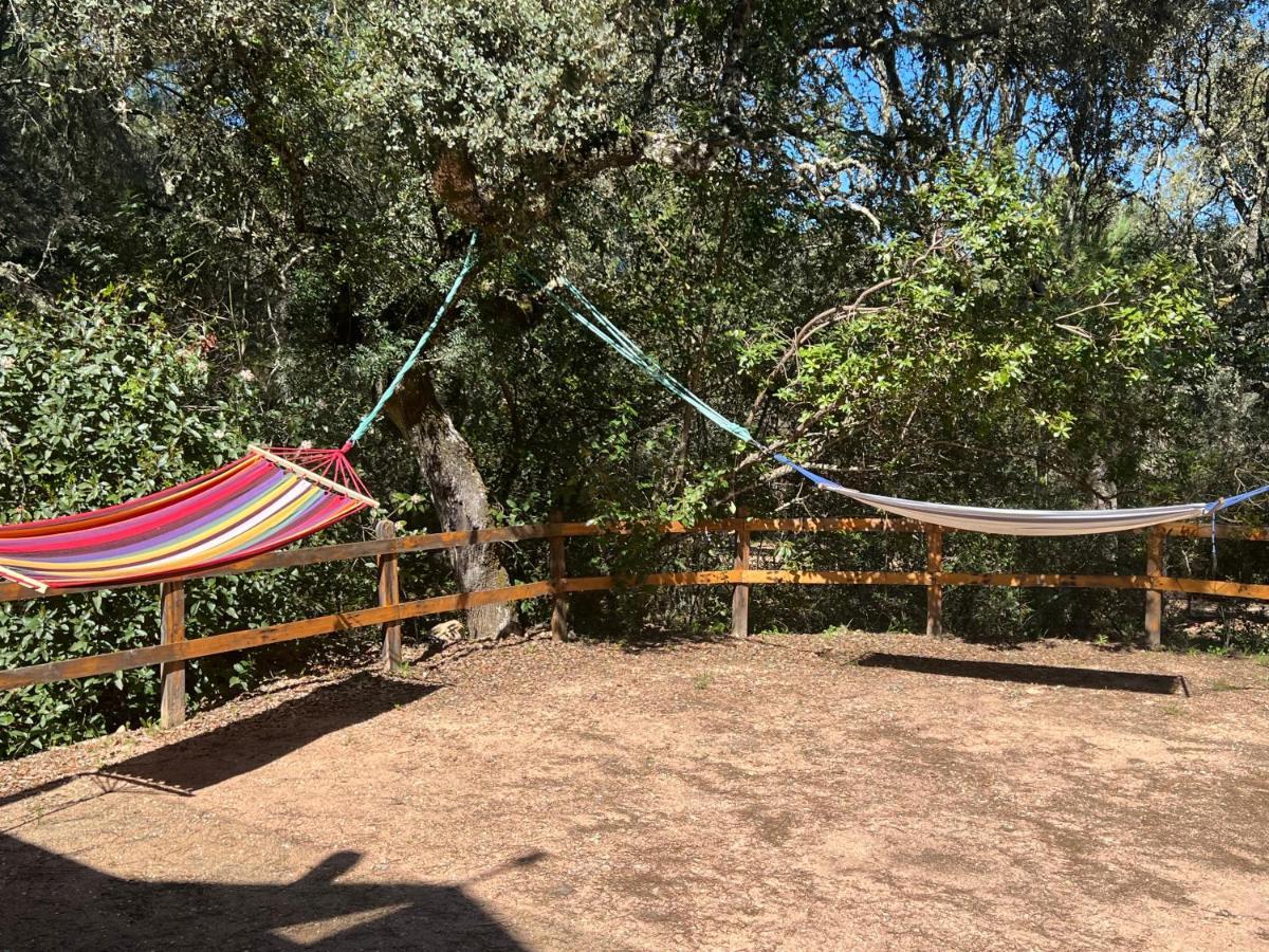 Сasa de vacaciones Del Bosque Cerca De Córdoba