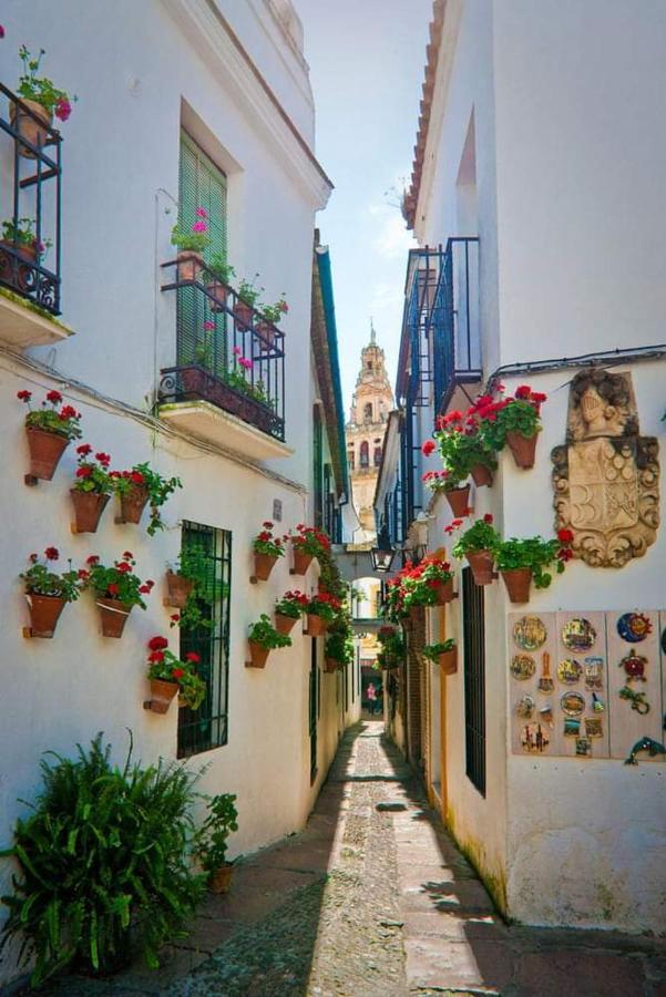 Apartamento Casa Juanma Córdoba