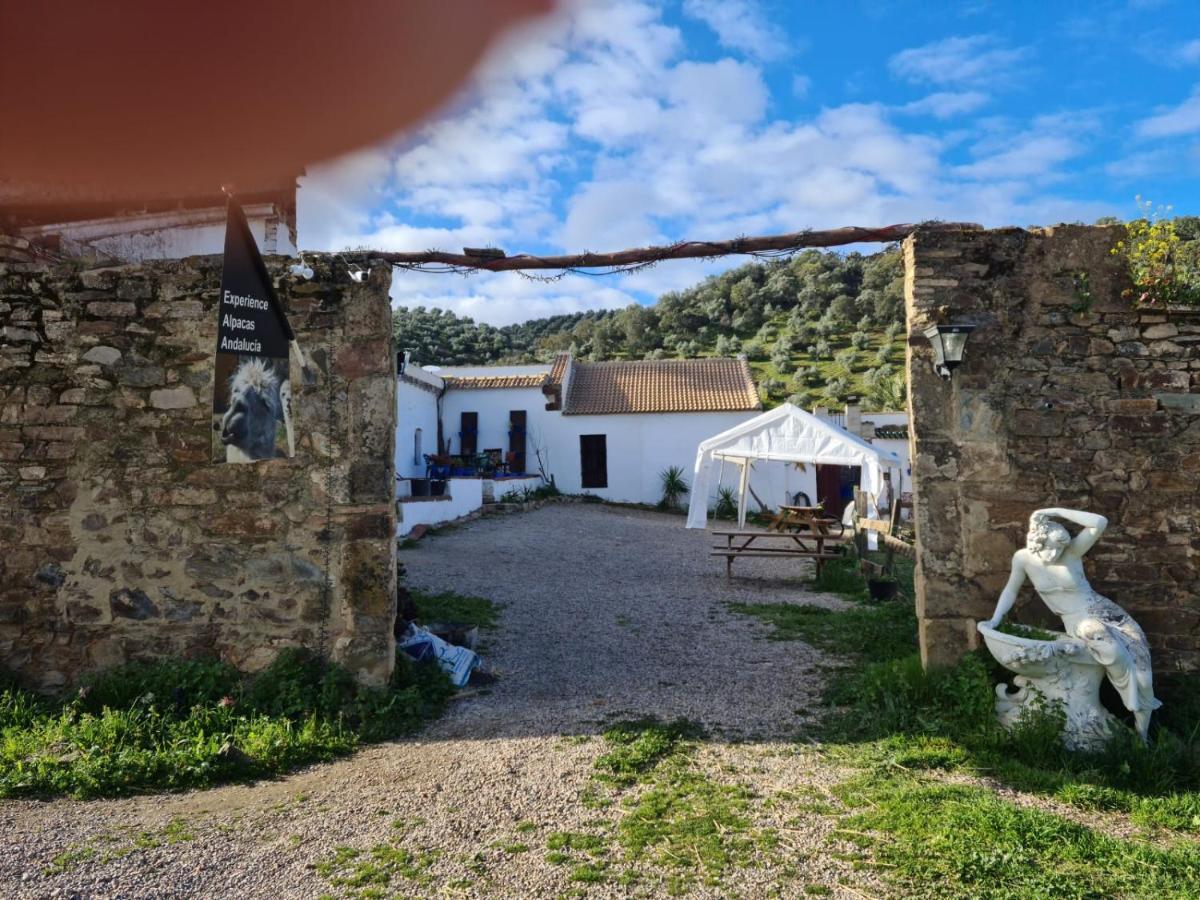 Apartamento Experience Alpacas In Andalucia