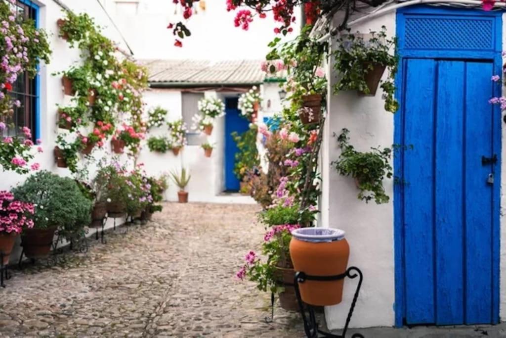 Apartamento Apartamento Campo La Verdad