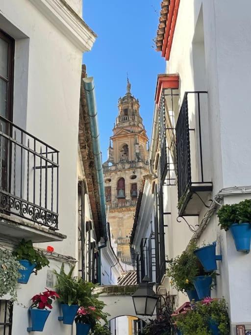 Apartamento Campo La Verdad Córdoba