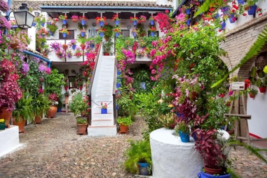 Apartamento Campo La Verdad Apartamento *
