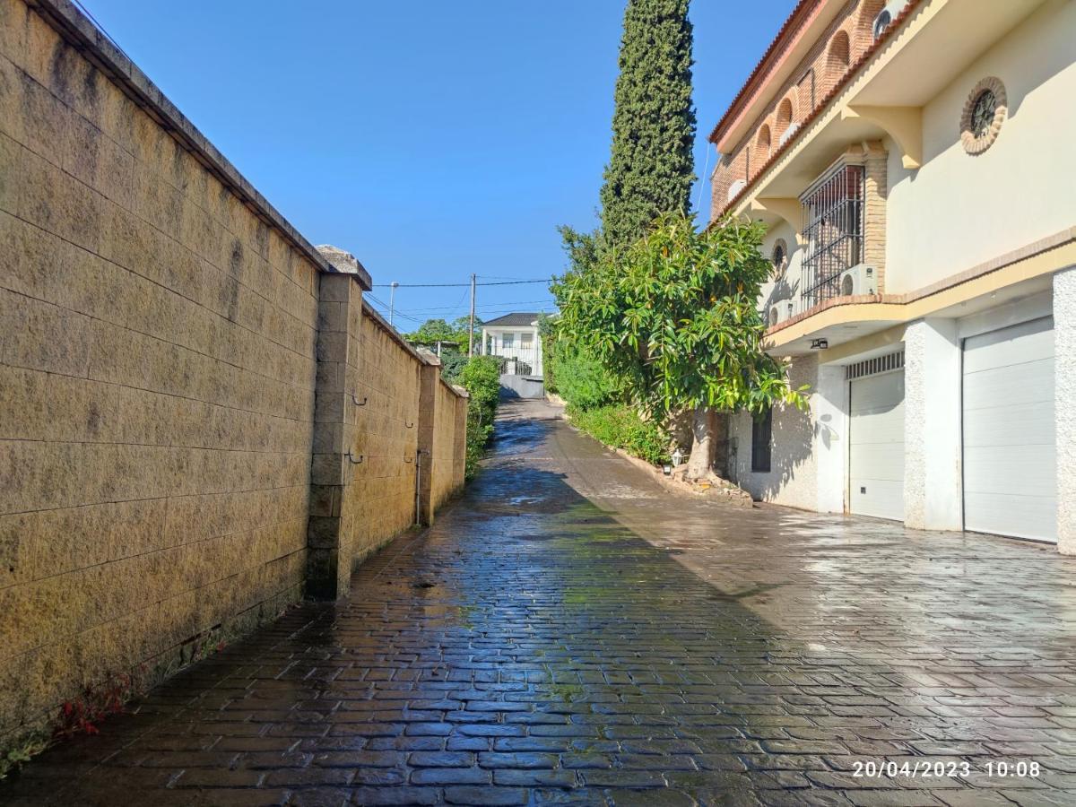 Apartamento Cipreses