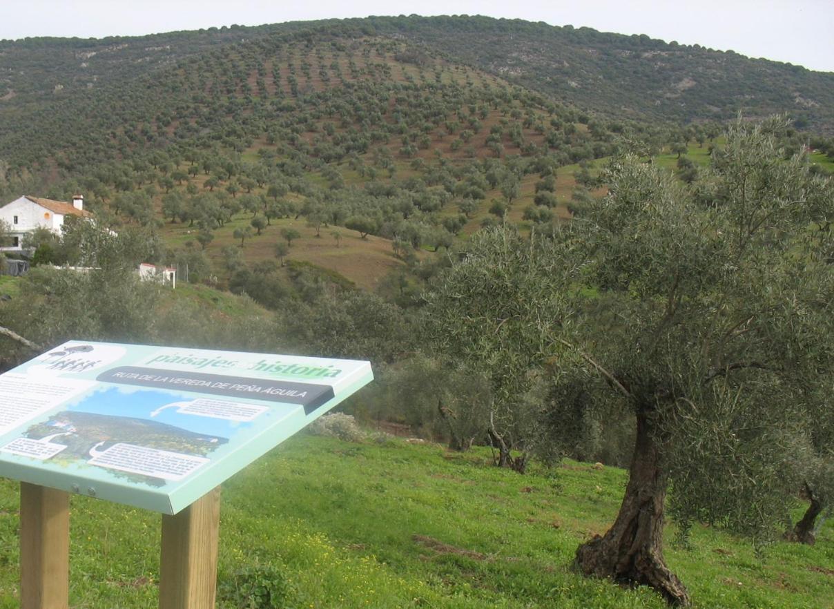Сasa de vacaciones Cortijo Era Grande 2 *