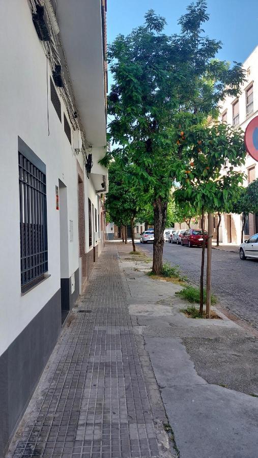 Loft Flor De Azahar Parking Privado * Cordoba