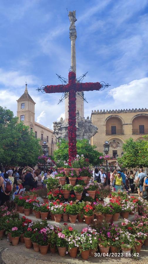 Amor, Emoción Y Más, Auténtico Céntrico Climatizado,con Wifi, Cercano A La Catedral Y Estaciones *