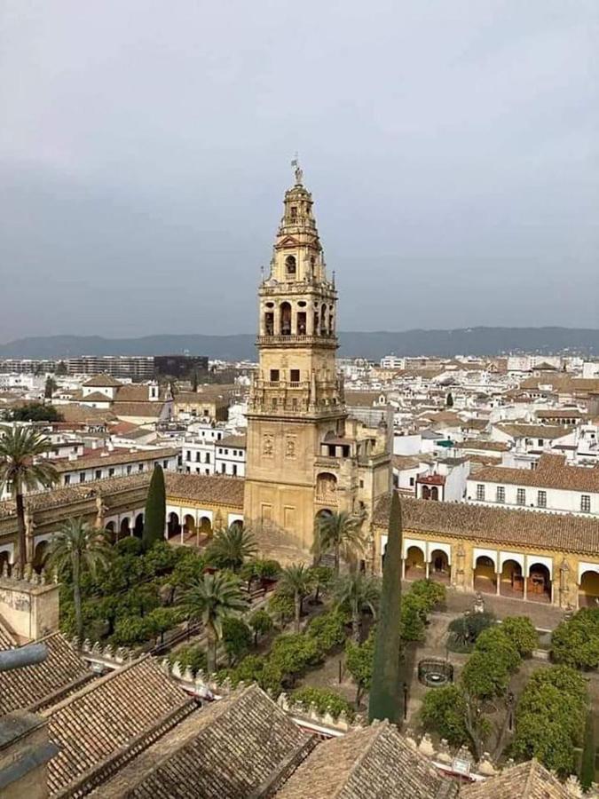 Nieves Viejas Patios Apartment