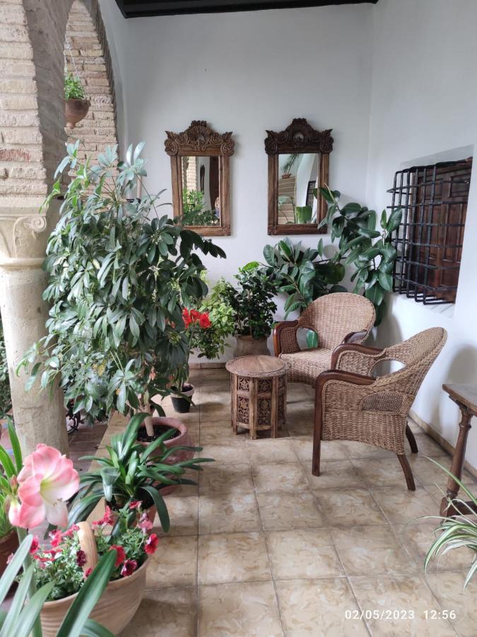 El Patio De Regina * Cordoba