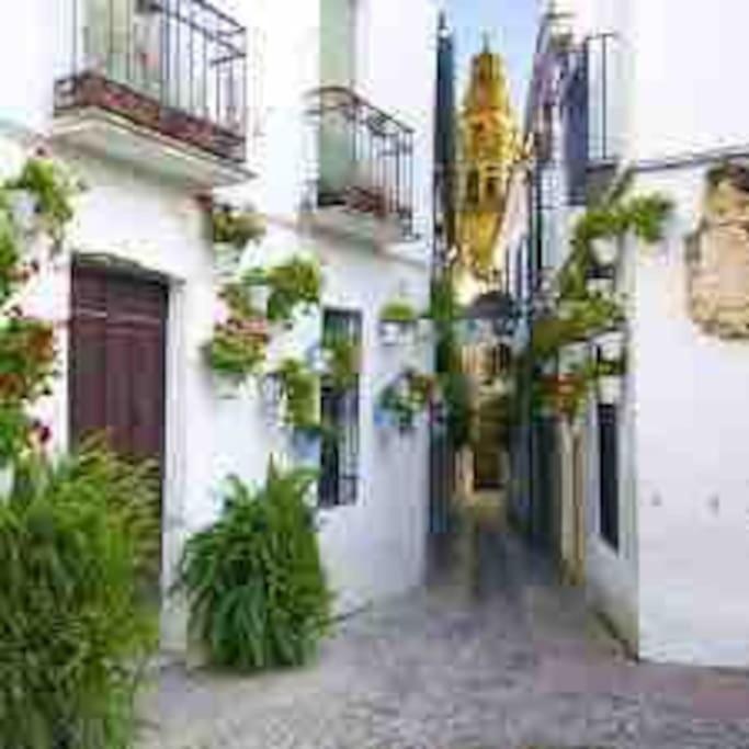 Mi Rincon Favorito Apartamento *