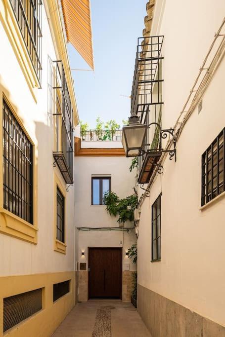 Apartamento Premium - Arcos De Medina 202