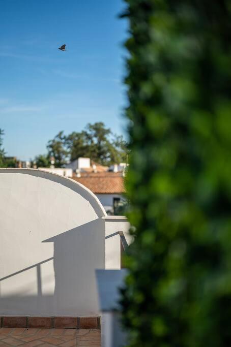 Apartment Premium - Arcos De Medina 101