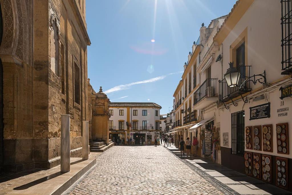 Apartment Premium - Arcos De Medina 101 *